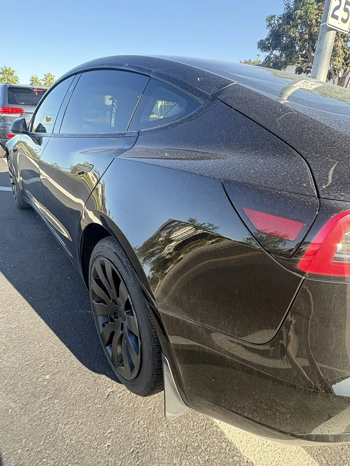 Black Tesla Before